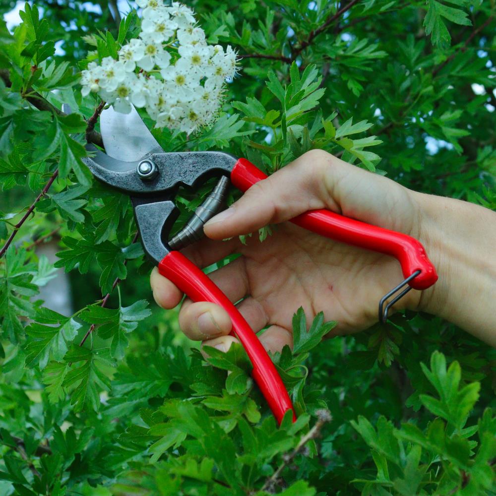Gartenschere mit Drahtverschluss