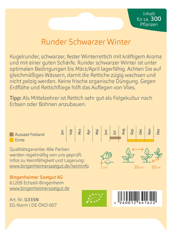Rettich 'schwarzer Winter'