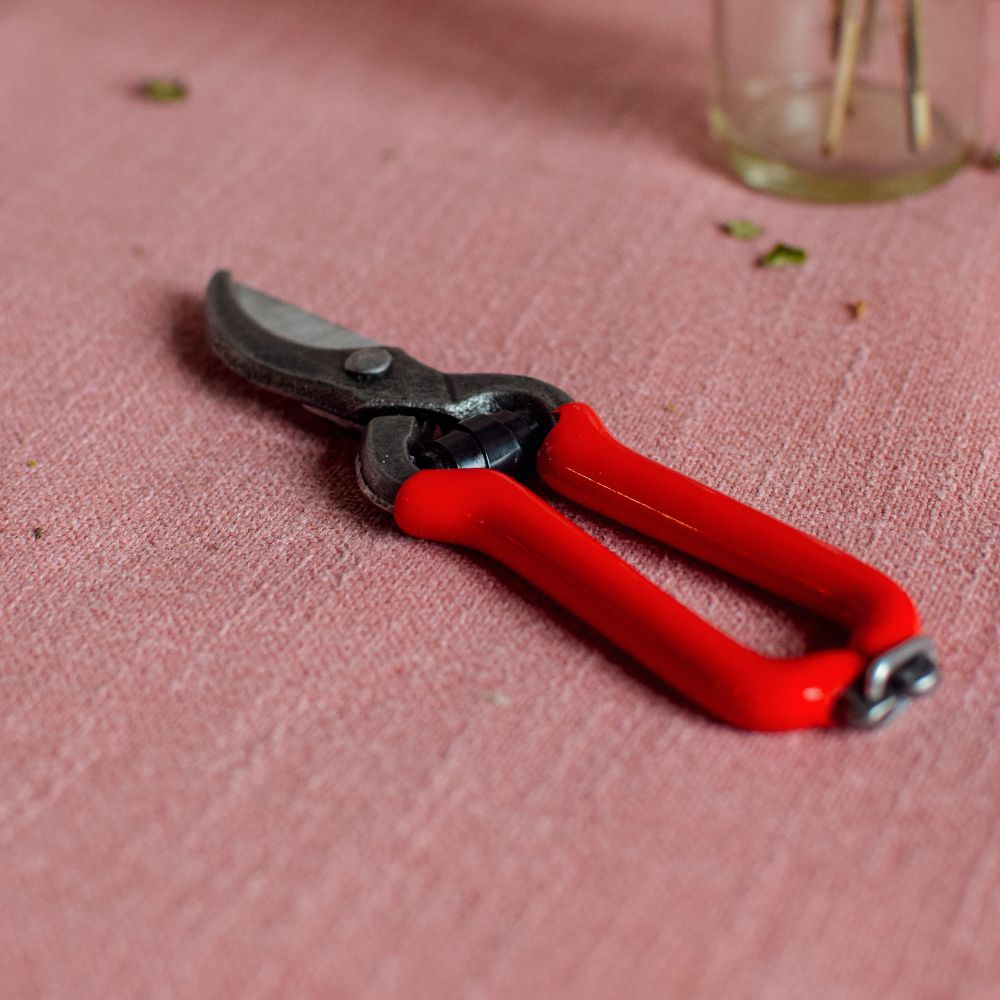 Blumenschere mit Drahtverschluss