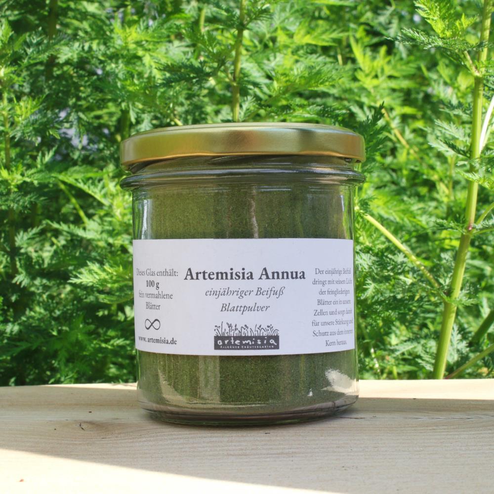 Artemisia annua Blattpulver
