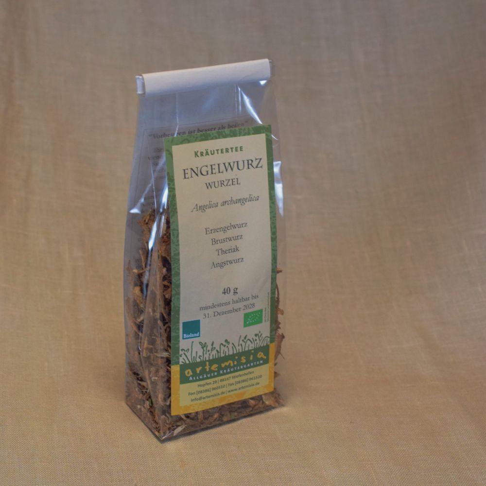 Erzengelwurz - Angelika Archangelika Wurzeln