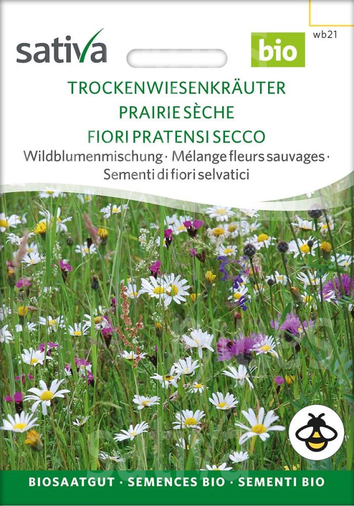 Wildblumenmischung 'Trockenwiesenkräuter'