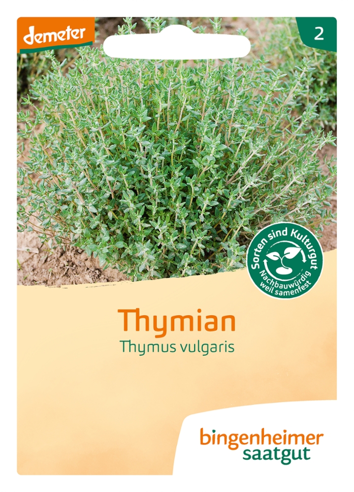 Thymian 'Deutscher Winter'