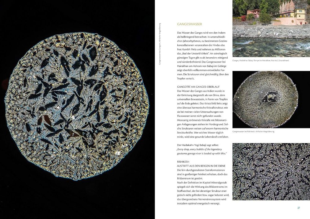 Phönix aus der Asche