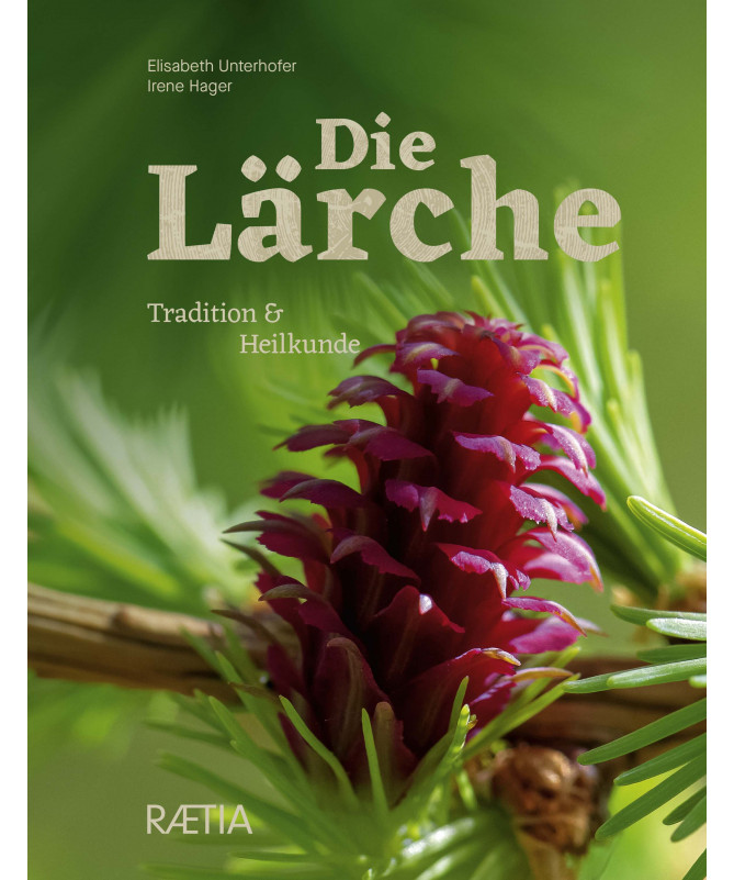 Die Lärche