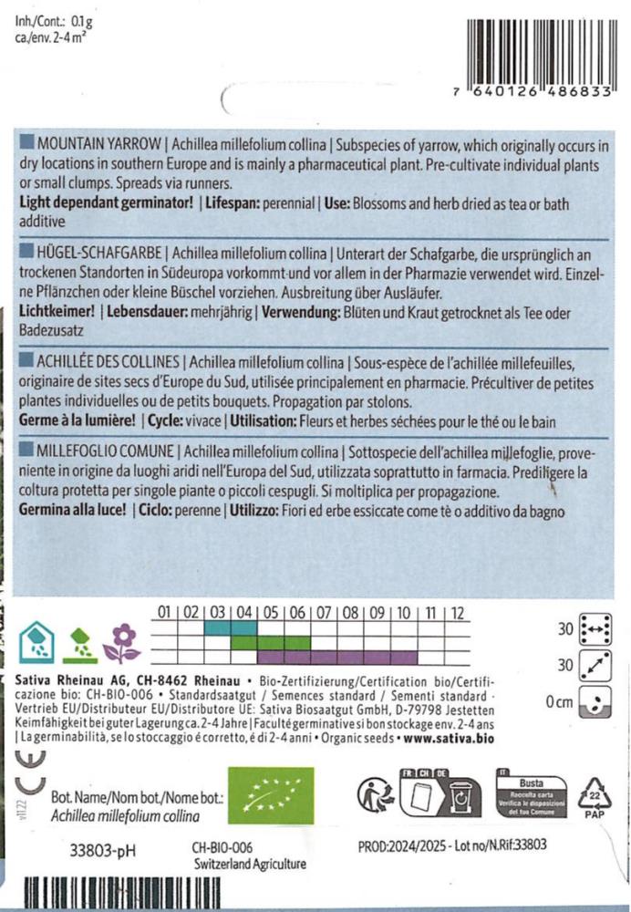 Hügel-Schafgarbe 'Achillea millefolium collina'