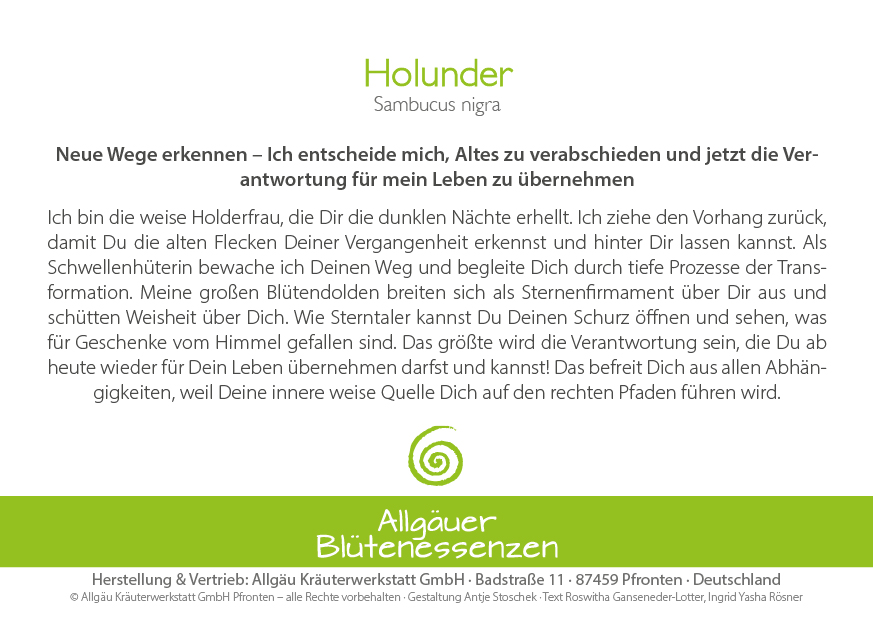 Holunder - Blütenessenz