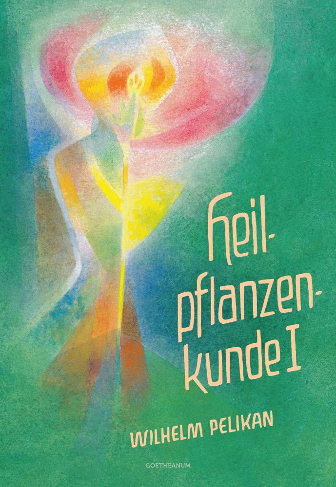 Heilpflanzenkunde Sammelband 1-3