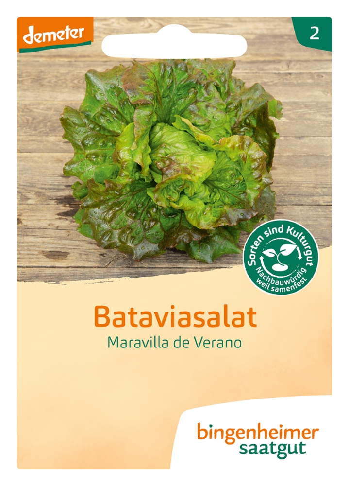 Batavia Salat 'Maravilla de Verano'