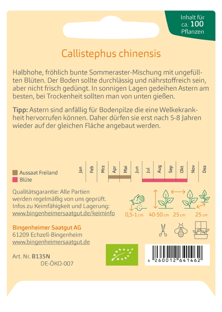 Sommeraster ungefüllt 'Callistephus chinensis'
