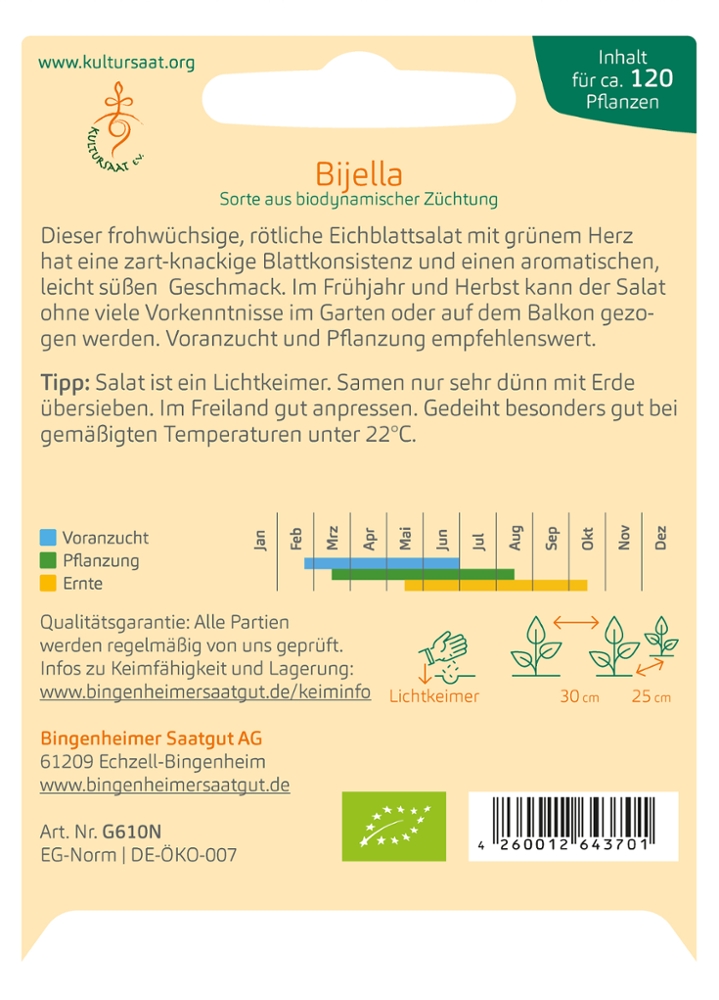 Eichblattsalat 'Bijella'