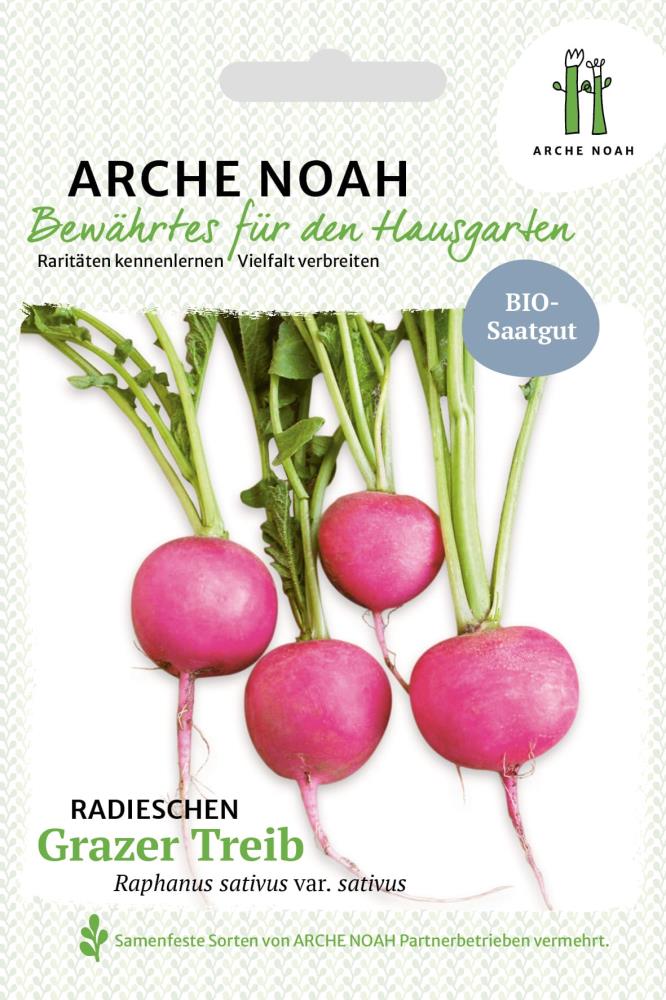 Radieschen 'Grazer Treib'