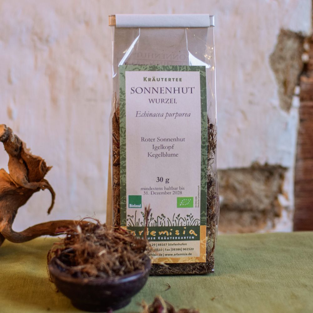 Sonnenhut / Echinacea Wurzel