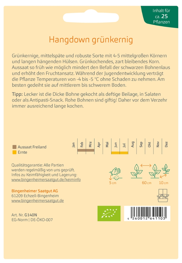 Dicke Bohne 'Hangdown grünkernig'