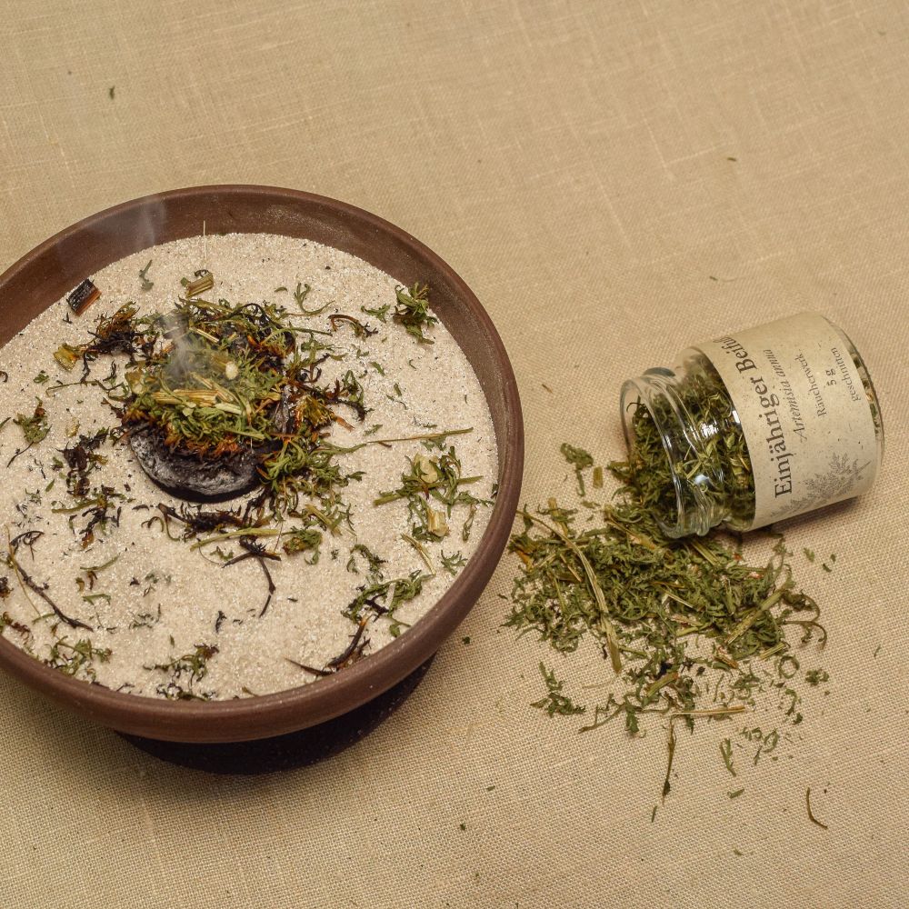 Artemisia annua geschnitten Räucherwerk