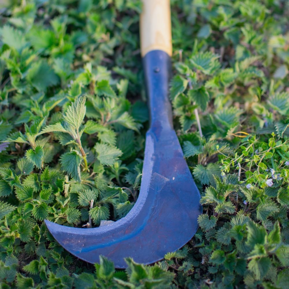 Geschmiedete Gartensichel mit Eschengriff