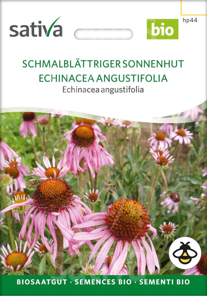 Schmalblättriger Sonnenhut 'Echinacea angustifolia'