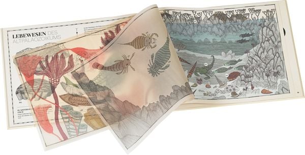 Wie alles begann - die wunderbare Geschichte unserer Erde