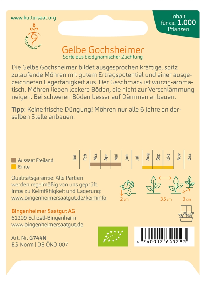 Möhre 'Gelbe Gochsheimer'