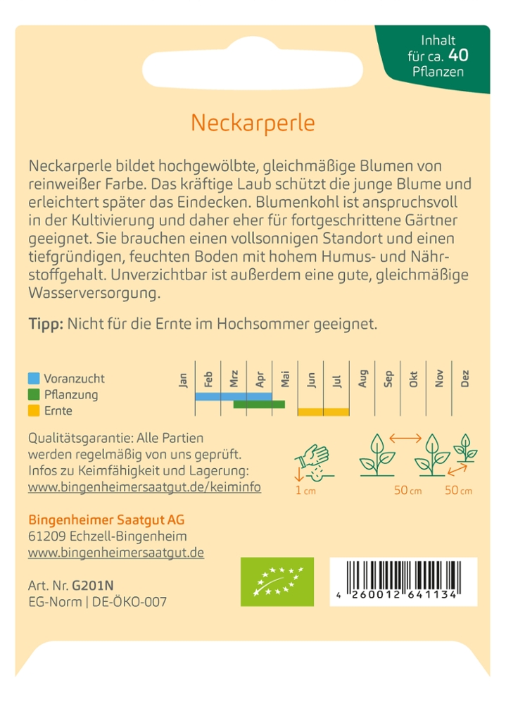 Blumenkohl 'Neckarperle'