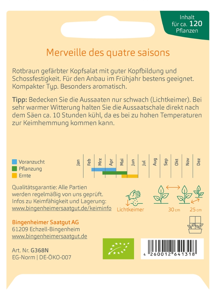 Roter Kopfsalat 'Merveille des quatre saisons'