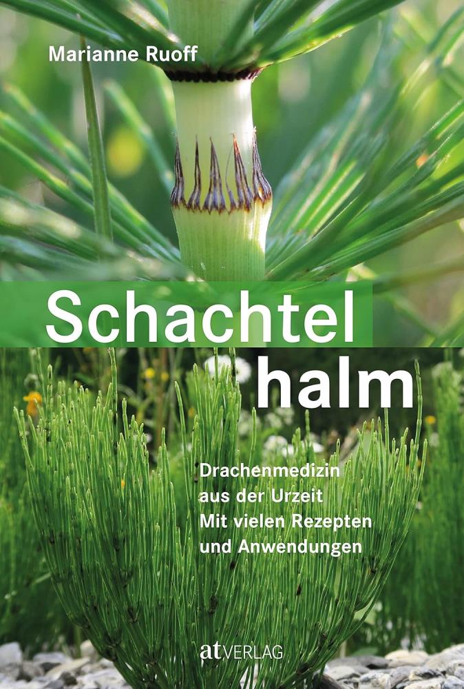 Schachtelhalm
