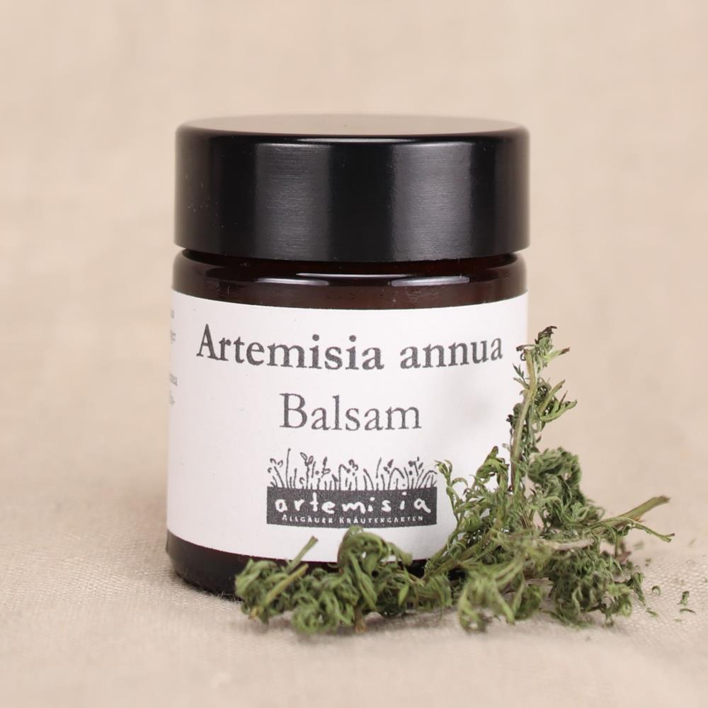 Artemisia annua Balsam