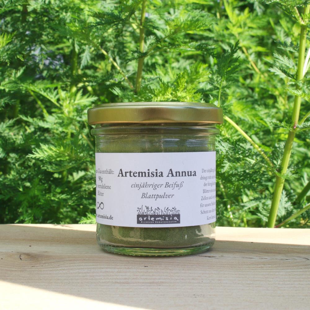 Artemisia annua Blattpulver