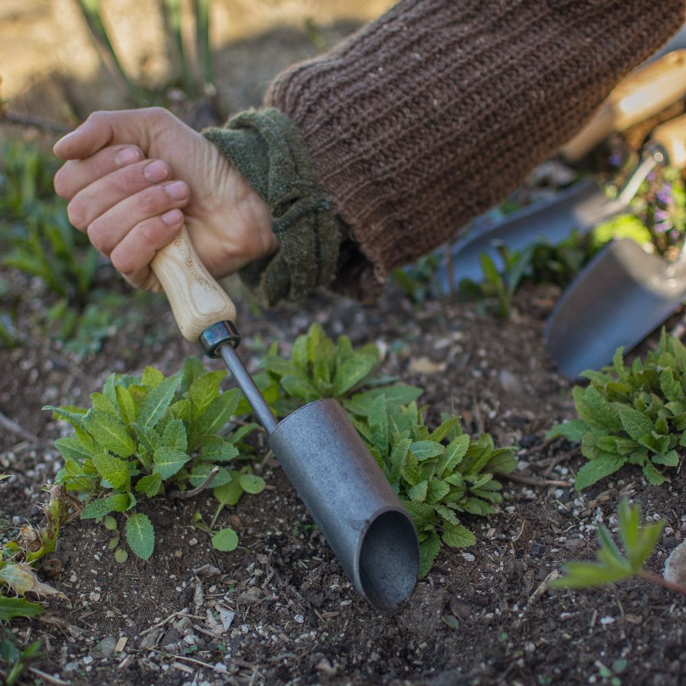 Zwiebelpflanzer mit Eschengriff