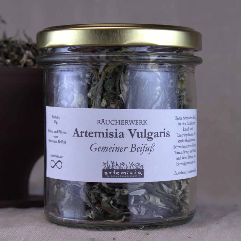 Beifuß - Artemisia vulgaris