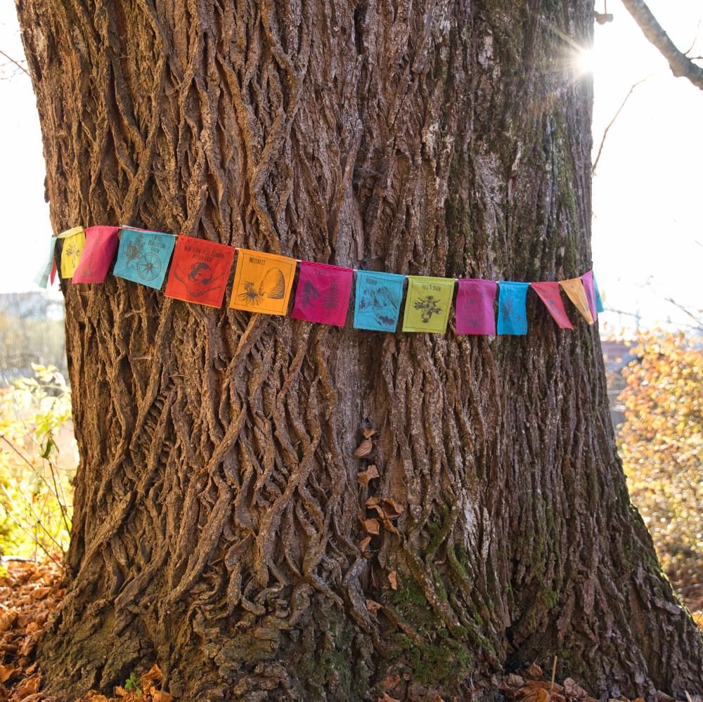 Allgäuer Gebetsfähnchen