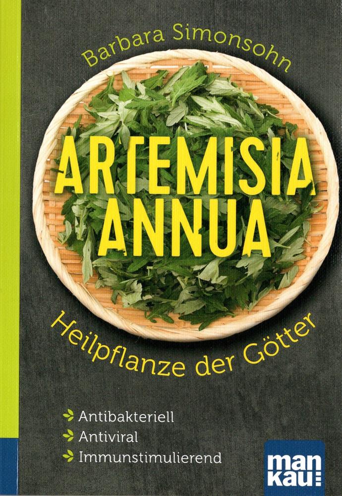 Artemisia annua - Heilpflanze der Götter