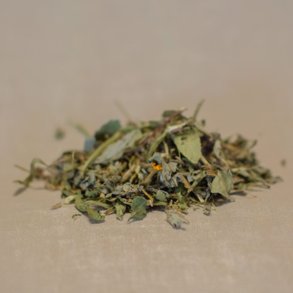 Lucida - Freunde des Lichts** Lucida - Freunde des Lichts**