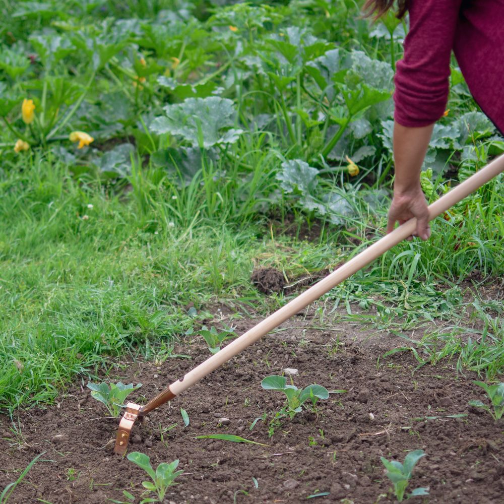 Kupfer Pendelhacke - langstielig