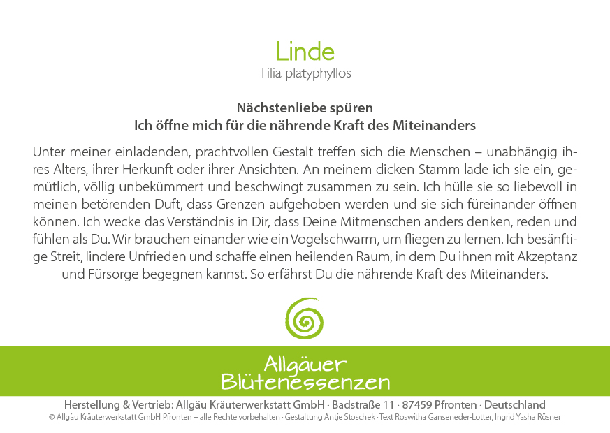 Linde - Blütenessenz