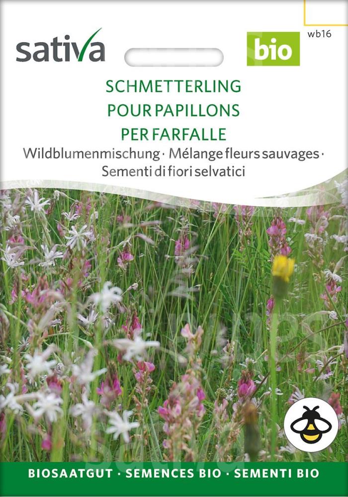 Wildblumenmischung 'Rasenkräuter'
