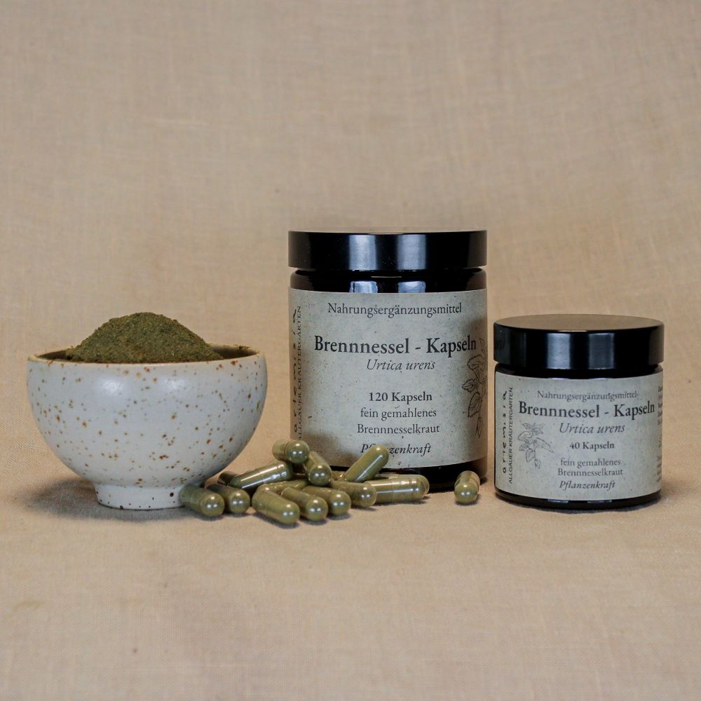 Brennnessel Kapseln