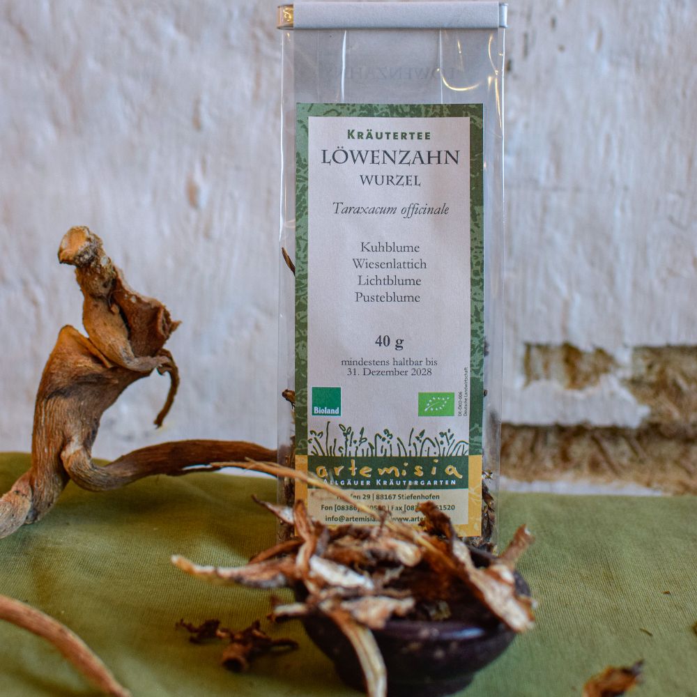 Löwenzahn Wurzel