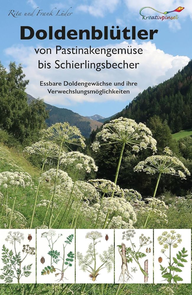 Doldenblütler - von Pastinaken bis Schierlingsbecher