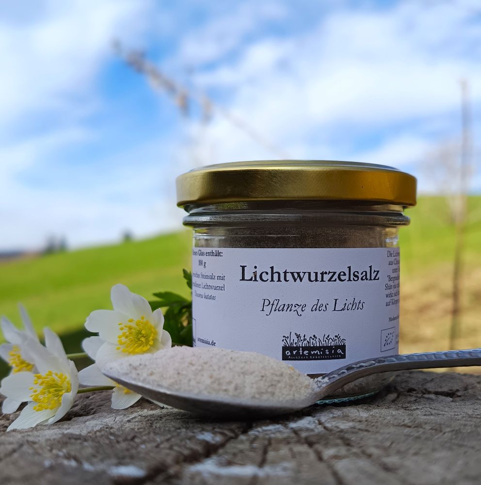 Lichtwurzelsalz
