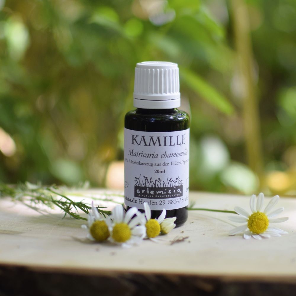 Kamille-Tinktur
