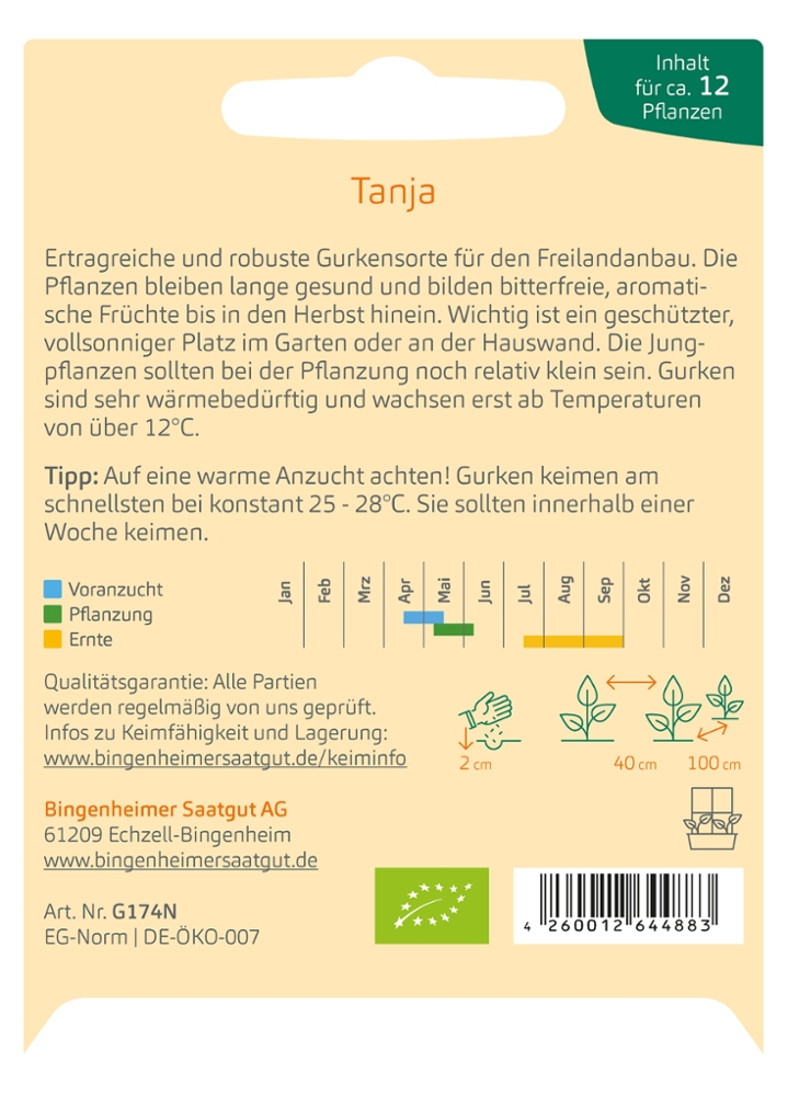 Freilandgurke 'Tanja' Freilandgurke 'Tanja'