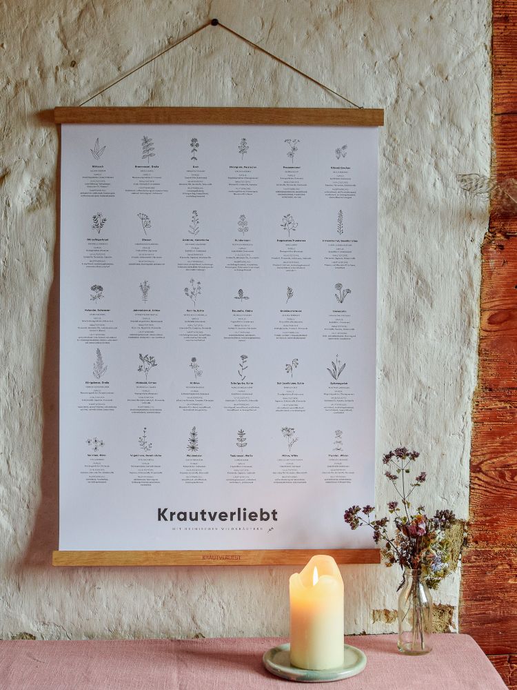 Kräuterposter