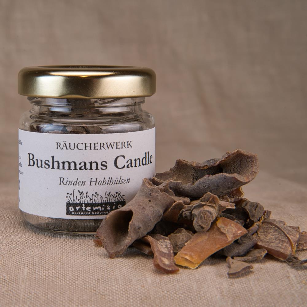 Bushman Candle, Rinde*