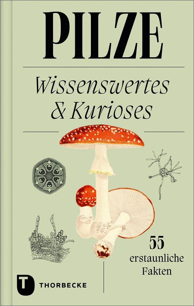 Pilze Wissenswertes & Kurioses