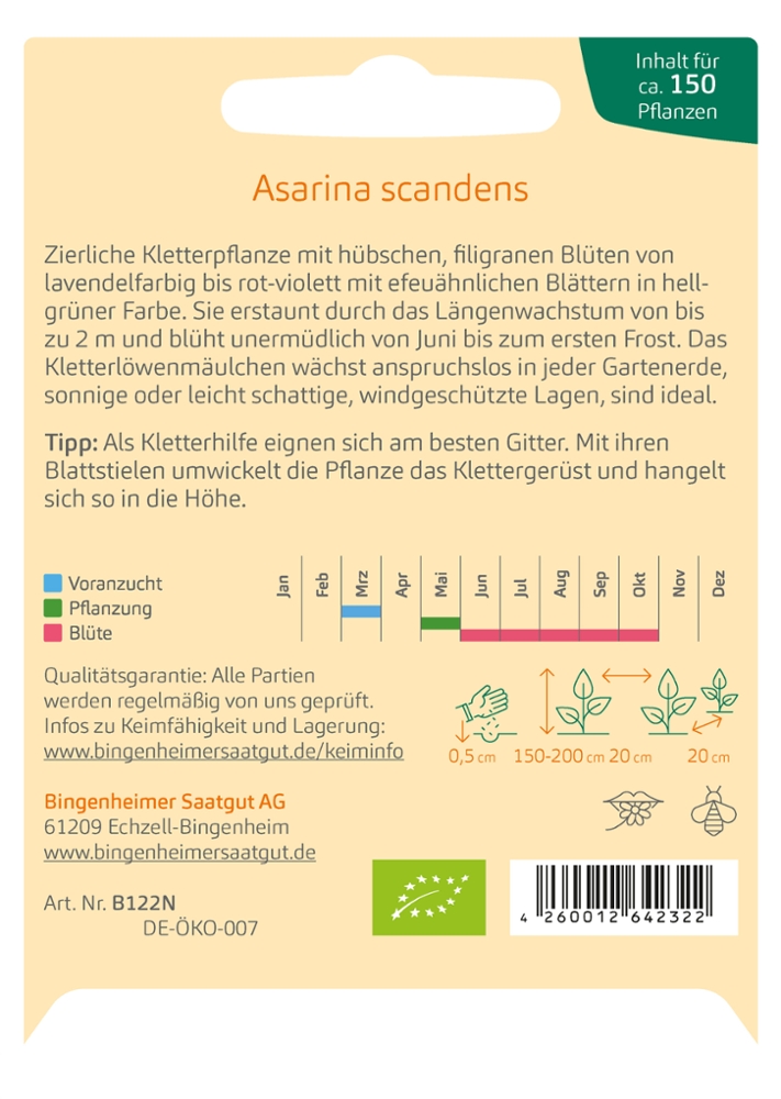 Kletterlöwenmäulchen 'Asarina scandens'