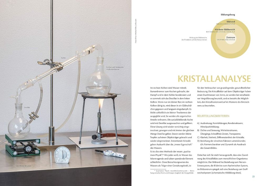 Phönix aus der Asche