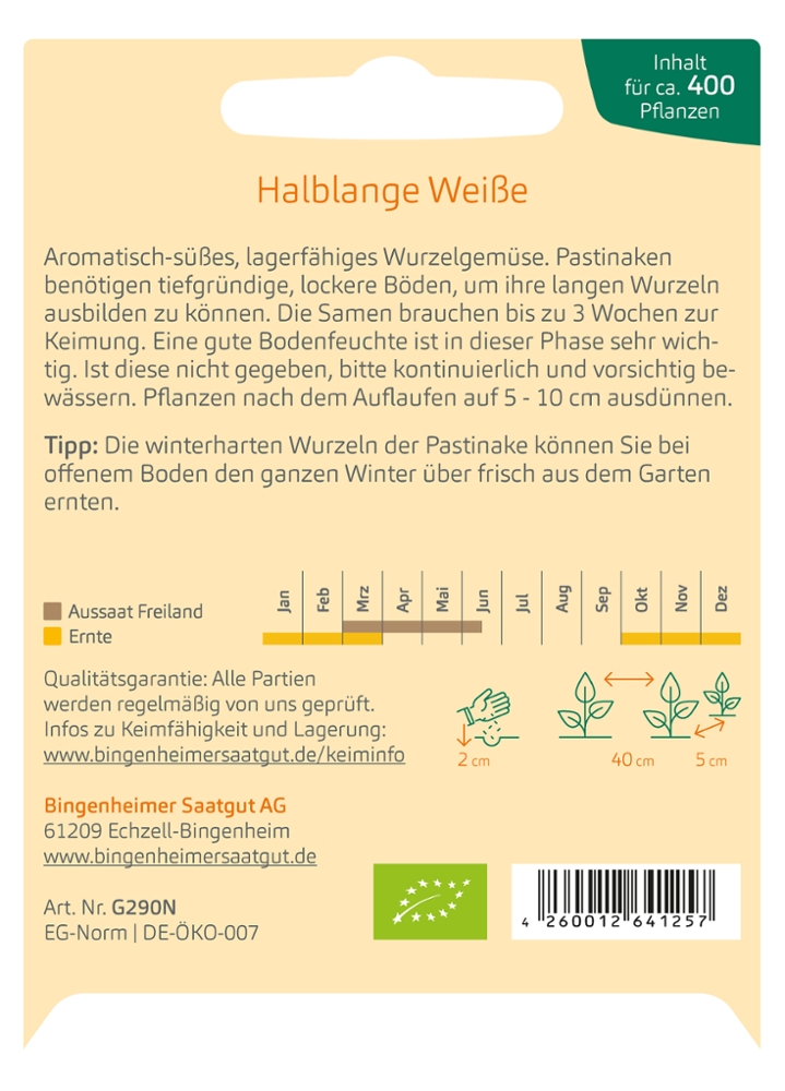 Pastinake 'Halblange Weiße'