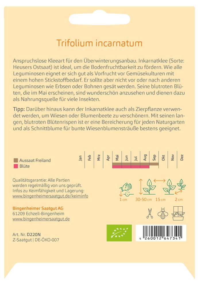 Gründüngung Inkarnatklee