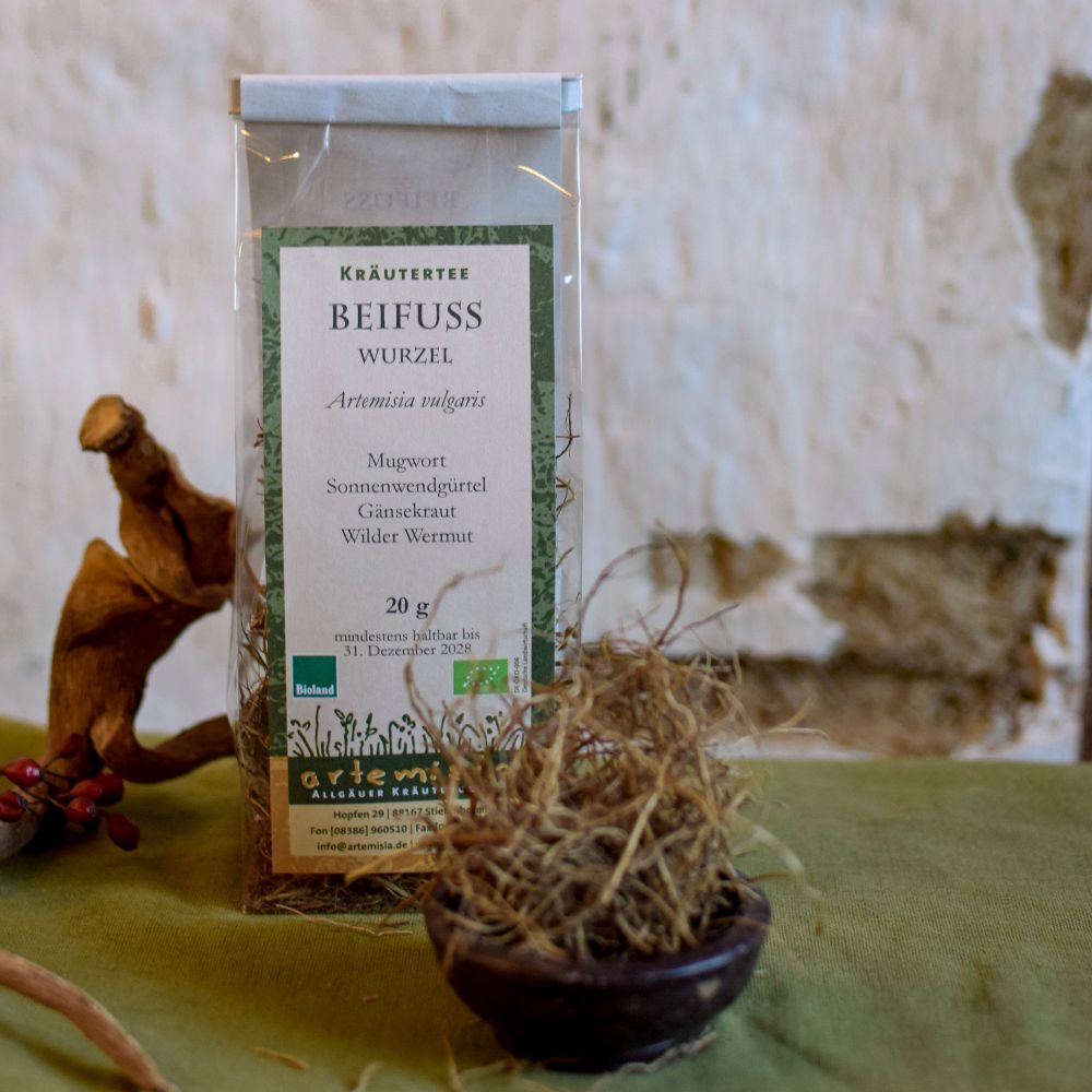 Beifuß Wurzel - Artemisia vulgaris